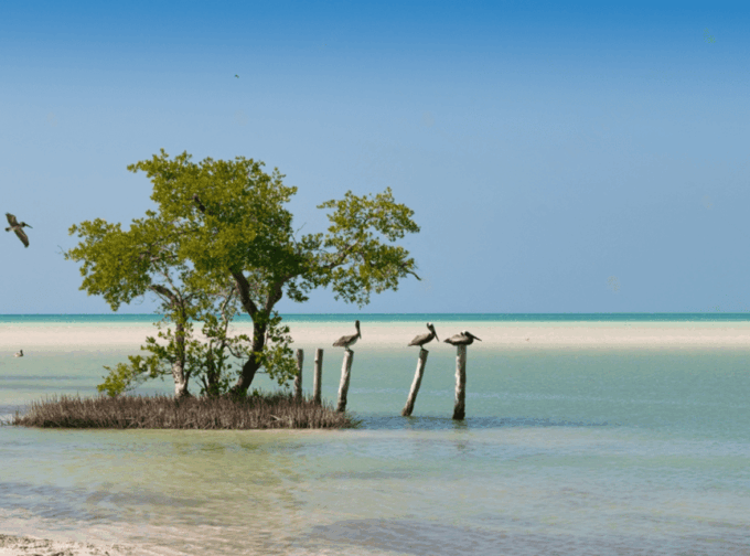Holbox: Self-Guided Downtown Tour. Art, Culture, and History - Offline Map Navigation