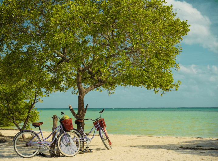 Holbox Self-Guided Tour: Explore the Island by Bike and SUP - Experience and Itinerary