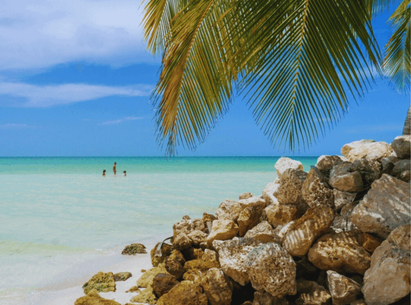 Holbox Self-Guided Tour: Explore the Island by Bike and SUP - What to Bring and Restrictions