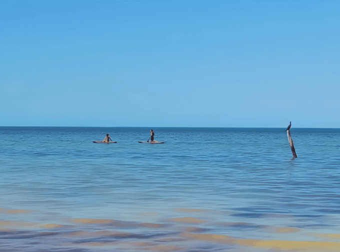 Holbox Self-Guided Tour: Explore the Island by Bike and SUP - Frequently Asked Questions