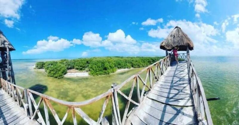 Holbox: Snorkeling and Beach Tour With Breakfast and Lunch - Inclusions and Exclusions