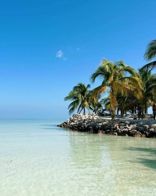 Holbox: Snorkeling and Beach Tour With Breakfast and Lunch - Frequently Asked Questions