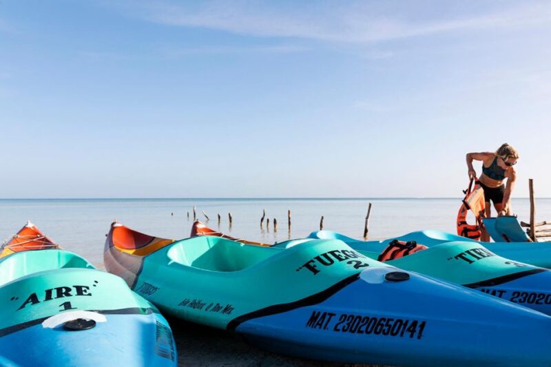 Holbox: Sunrise Kayak Tour Through the Mangroves - Key Points