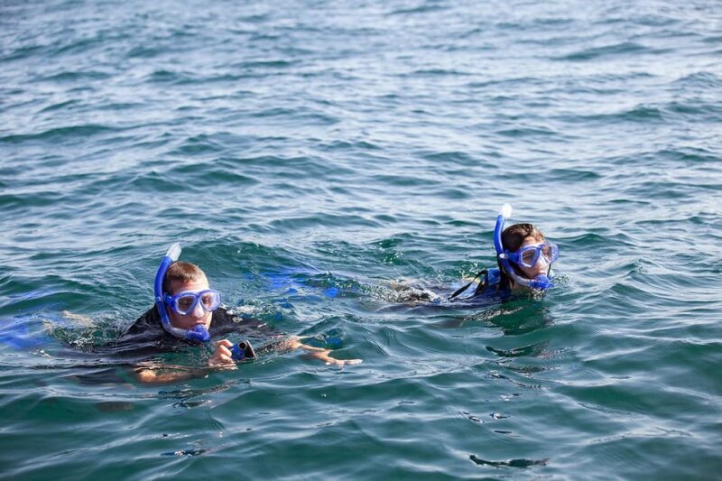 Holbox: Swimming With Wild Whale Sharks Boat Trip - Detailed Itinerary