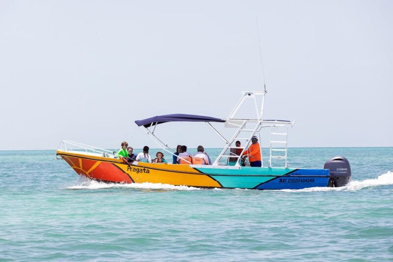 Holbox: Swimming With Wild Whale Sharks Boat Trip - Key Highlights