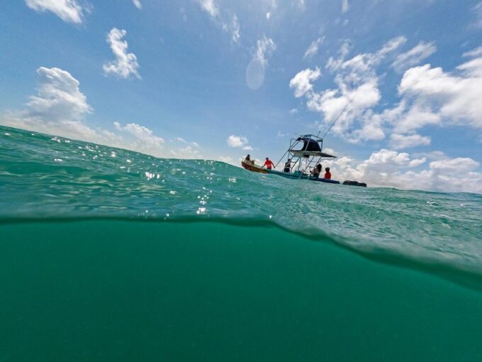 Holbox: Swimming With Wild Whale Sharks Boat Trip - Safety Precautions