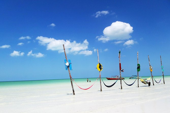 Holbox Tour From Cancun and Riviera Maya - Pickup Locations