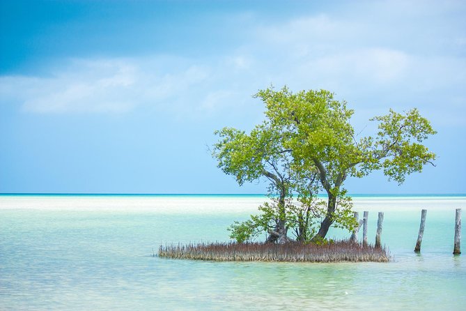 Holbox Tour From Cancun and Riviera Maya - Frequently Asked Questions