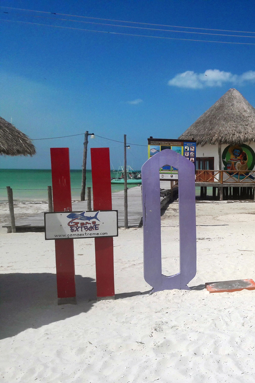 Holbox Tour From Cancun and Riviera Maya - Highlights and Experiences