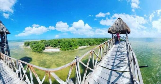 Holbox: Whale Shark and Snorkeling Tour With Lunch - Frequently Asked Questions