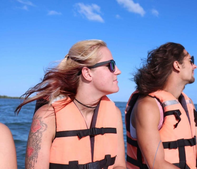 Holbox: Whale Shark - Key Points