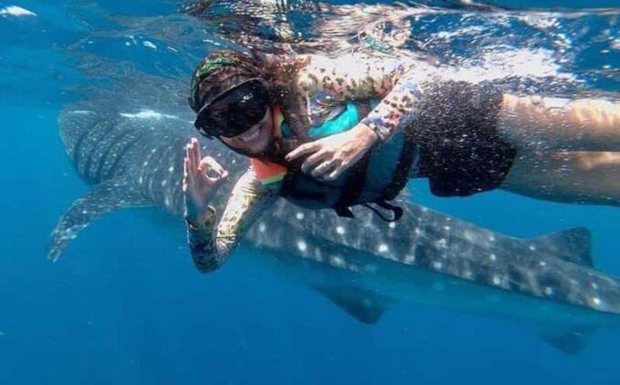 Holbox: Whale Shark - Opportunity to See Wildlife