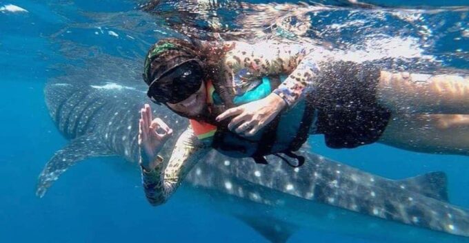 Holbox: Whale Shark - Experience Highlights