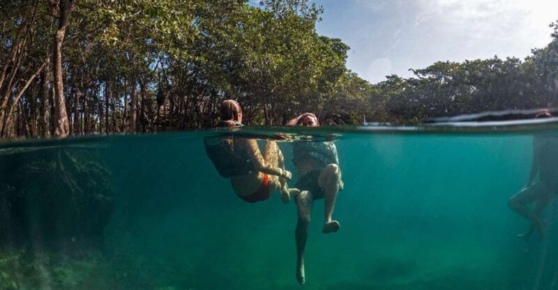 Holbox: Yalahau, Passion Island and Punta Mosquito Boat Tour - Itinerary and Experience