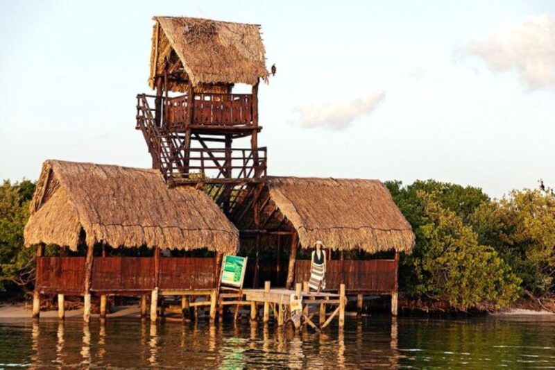 Holbox: Yalahau, Passion Island and Punta Mosquito Boat Tour - Observing Punta Mosquito Wildlife