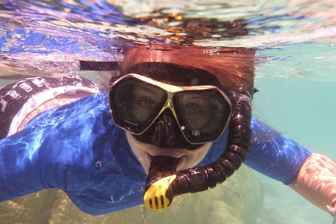 Hole in the Rock Cruise & Island Tour - With Two Island Stopovers - Wildlife and Scenery