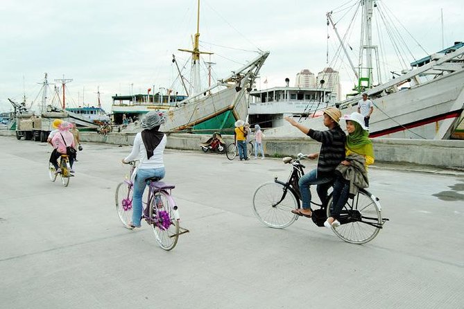 Holiday in Jakarta, Private Tour With Guide - Private Transportation
