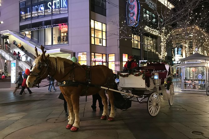 Holiday Lights & History Walking Tour - Group Size and Composition
