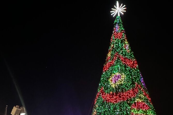 Holiday Lights Private Night Bus Tour of Washington DC - Booking and Cancellation Policy