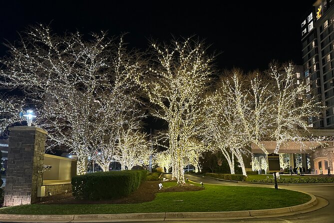 Holiday Lights Private Night Bus Tour of Washington DC - Highlights of the Tour