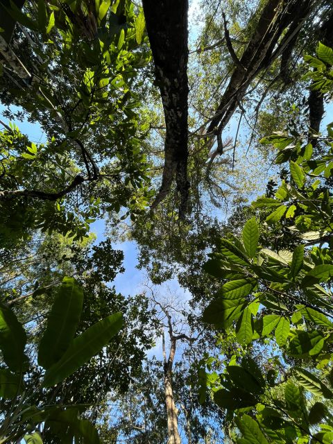 Holistic Retreat Cacao Cermony and Cacao Trail - Getting There