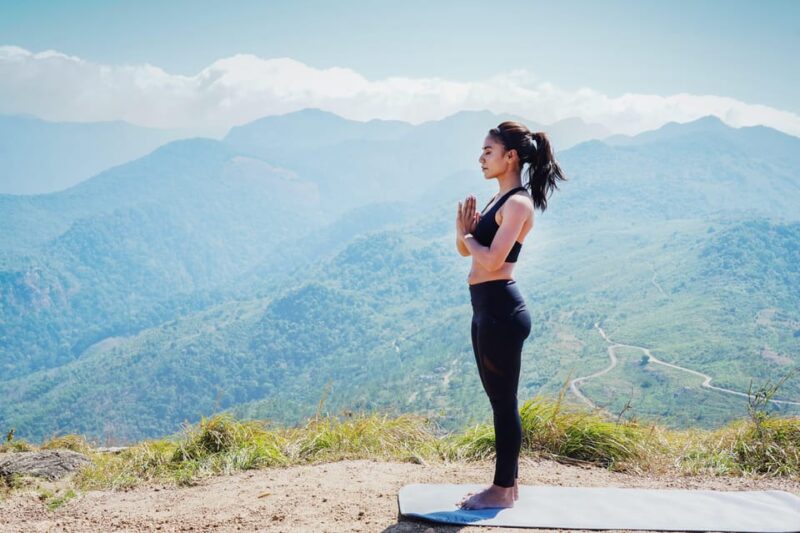 Holistic :Wellness Ayurveda Yoga Detoxification Rejuvenation - Additional Offerings