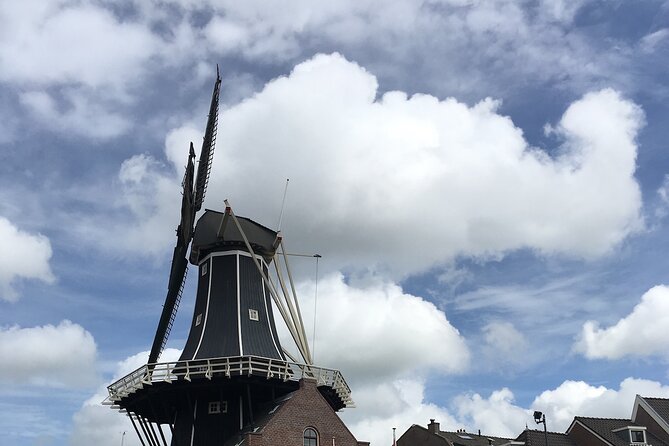 Holland Four City Charm Tour - Private Day Tour - Traveler Reviews and Testimonials