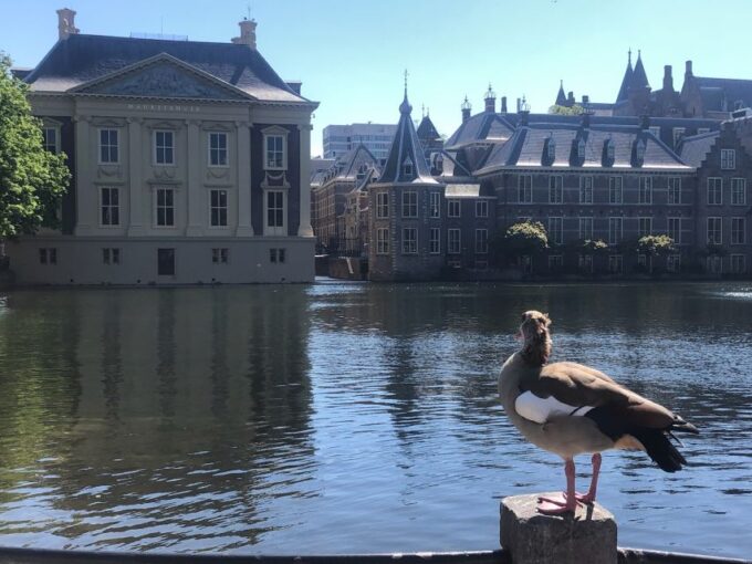 Holland Four City Charm Tour - Mobility and Accessibility