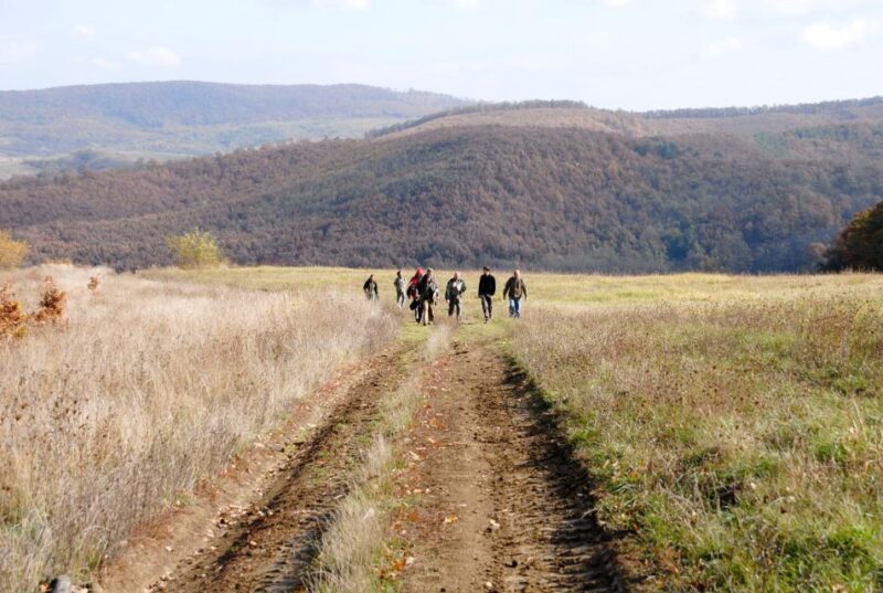 Hollókő: Village Tour and Folklore Programme - Accessibility and Group Options