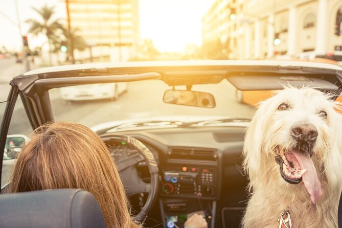Hollywood Celebrity and Star Homes Self-Guided Driving Tour - Accessibility and Convenience