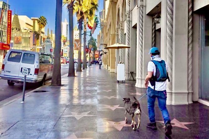 Hollywood Walk of Fame Walking Tour - Preparing for the Tour