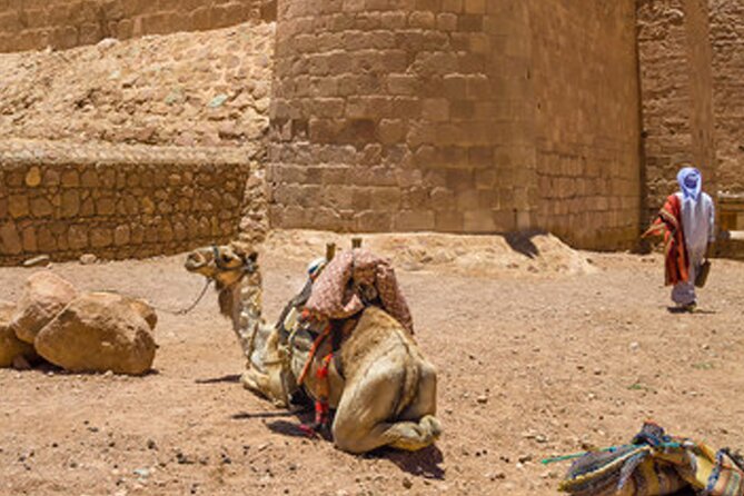 Holy Mount Sinai Climb & St Catherine Monastery - Additional Information