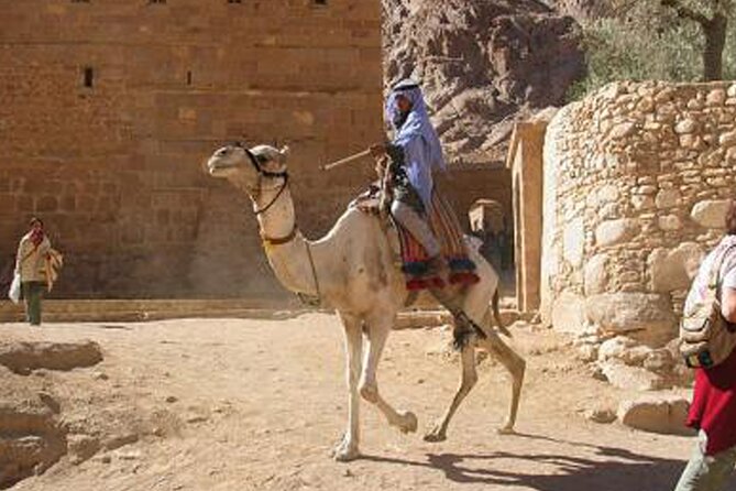 Holy Mount Sinai Climb & St Catherine Monastery - St. Catherines Monastery