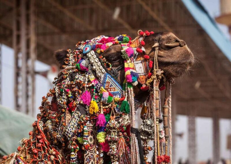 Holy Pushkar and Ajmer Trails (Guided Full Day Tour) - Exclusions