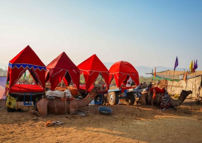 Holy Pushkar and Ajmer Trails (Guided Full Day Tour) - Explore Pushkar Lake