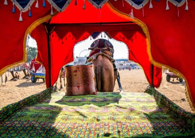 Holy Pushkar and Ajmer Trails (Guided Full Day Tour) - Visit Ajmer Dargah Sharif