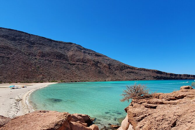 Holy Spirit Island Snorkel and Sightseeing Tour on Small Group - Snorkeling Experiences