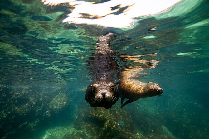 Holy Spirit Island Snorkel and Sightseeing Tour on Small Group - Lunch and Refreshments