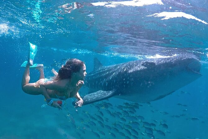 Holy Spirit Island: Snorkel With SEA LIONS and Balandra Small Group - Exploring Balandra Beach