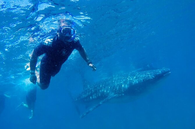 Holy Spirit Island: Snorkel With SEA LIONS and Balandra Small Group - Tour Inclusions and Benefits