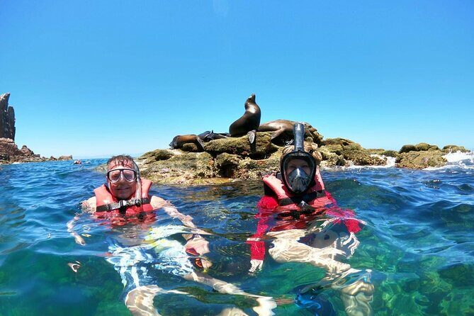 Holy Spirit Island Tour and snorkeling with sea lions - Key Points