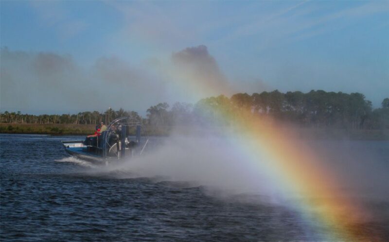 Homosassa: Gulf of Mexico Airboat Ride and Dolphin Watching - Wildlife Sightings