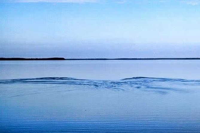 Homosassa Inshore Fishing Charters - Inclusions and What to Expect