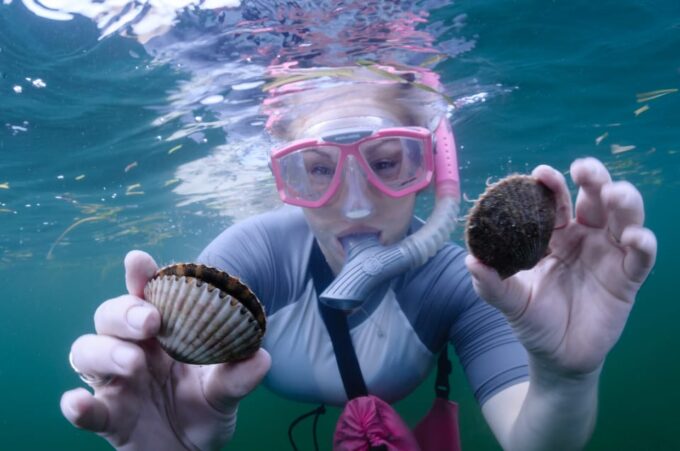 Homosassa: Snorkel & Scallop Hunt in Gulf of Mexico - Frequently Asked Questions