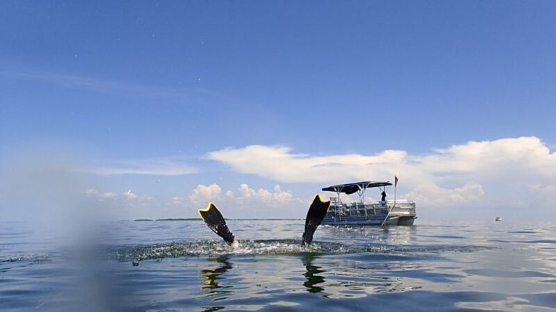 Homosassa: Snorkel & Scallop Hunt in Gulf of Mexico - Important Information