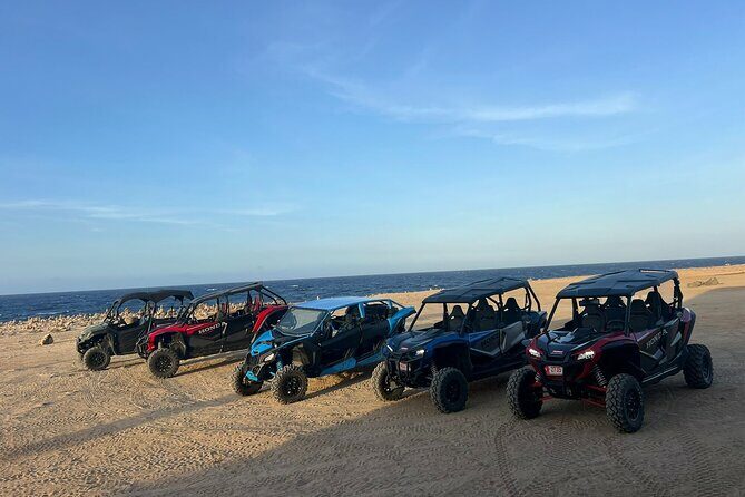 Honda Tallon 4 seat rental - Key Points
