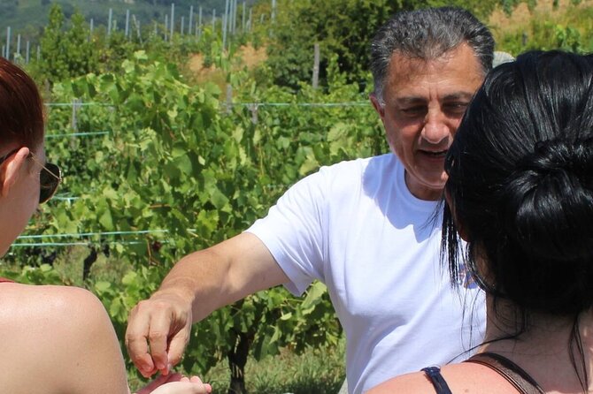 Honest Wines- Wine Tasting at Cantina Biagiotti - Pairing Wine With Delicacies