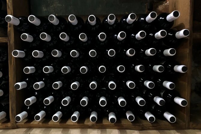 Honest Wines- Wine Tasting at Cantina Biagiotti - Praise for the Knowledgeable Guide