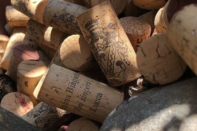 Honest Wines- Wine Tasting at Cantina Biagiotti - Discovering Luccas Wine Culture