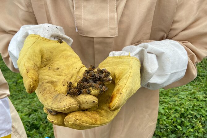 Honey Bee Adventure at the Maui Honey Bee Sanctuary - Tour Details